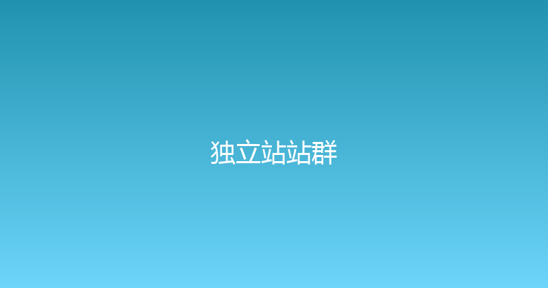 独立站站群 封面图