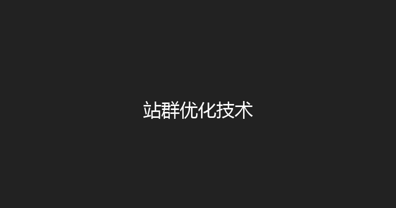 站群优化技术 封面图