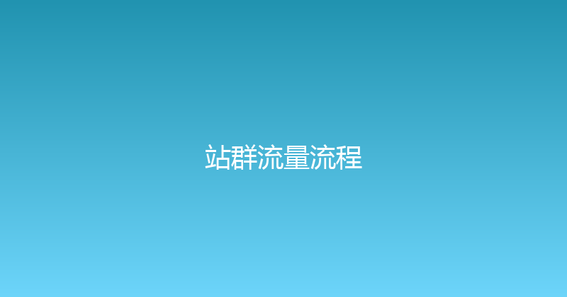 站群流量流程 封面图