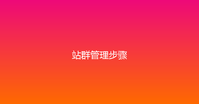 站群管理步骤 封面图